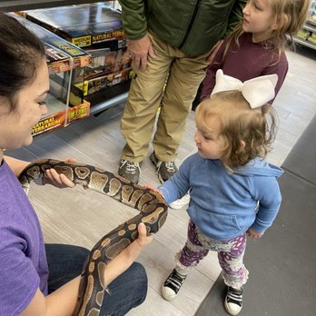 HERPS Exotic Reptile And Pet Shop - No fear - Pet Stores Near Me - Bryan, Texas