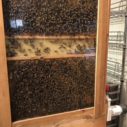 Beeland Market & B*stro - Bee hive in the store.