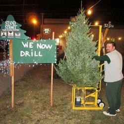 Kleinberg Christmas Trees