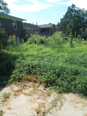 landscaping Mowing and weed eating - we mowed the yard and the weed eating home owner was happy and grateful too..