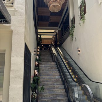 Earls Kitchen + Bar - The escalator and stairs to the restaurant. - Cocktail Bars Near Me - Honolulu, Hawaii Earls Kitchen + Bar - The escalator and stairs to the restaurant. - Cocktail Bars Near Me - Honolulu, Hawaii