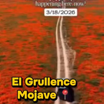 El Grullense - Mexican Near Me - Mojave, California