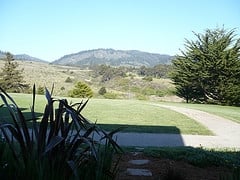 Costanoa by null