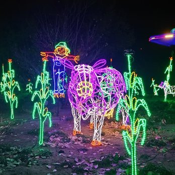 River Of Lights - Bye, cowsies! - Festivals Near Me - Albuquerque, New Mexico