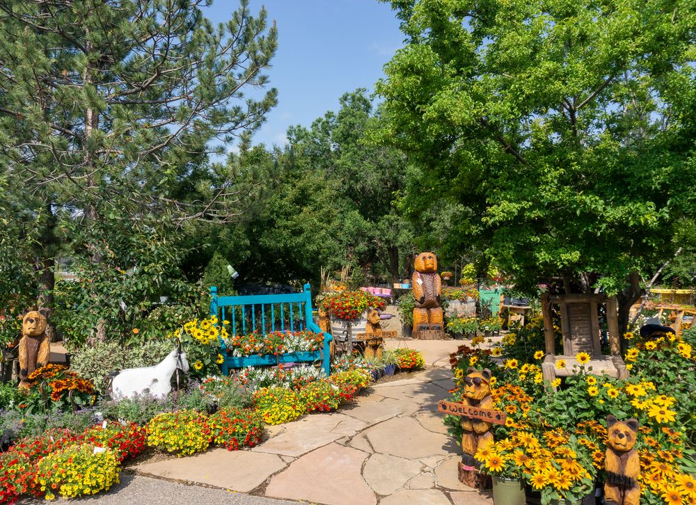 VIOLA’S FLOWER GARDEN 115 Photos & 44 Reviews 610 S State Rte 89A