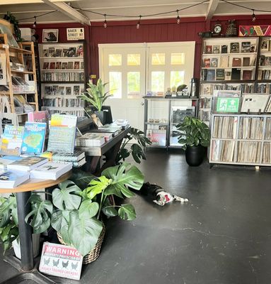 Talk Story Bookstore by null