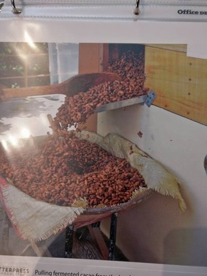 LetterPress Chocolate by null