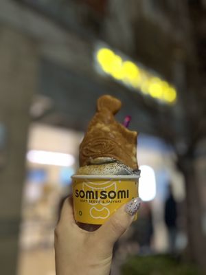 Somisomi by null