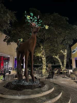 The Arboretum by null