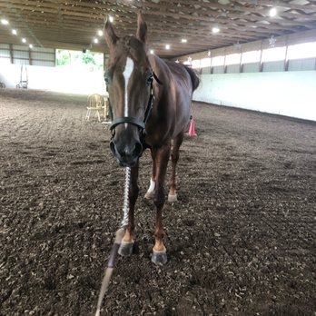 Stillwater Valley Farm - Horseback Riding Near Me Stillwater Valley Farm - Horseback Riding Near Me