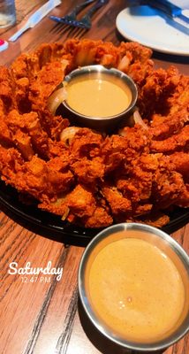 Outback Steakhouse by null