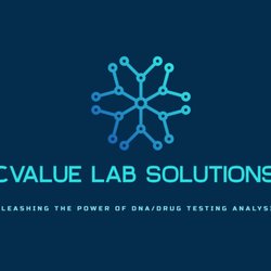 CValue Labs Solutions