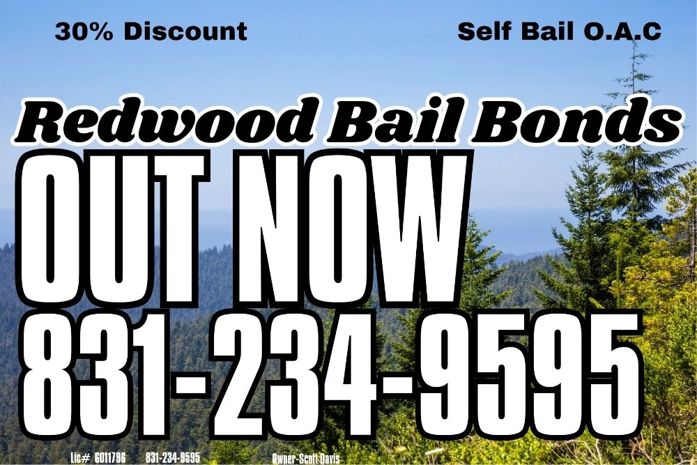REDWOOD BAIL BONDS - Updated June 2026 - Santa Cruz, California - Bail ...