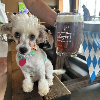 Orange Hat Brewing - Cheers. Love ya. - Breweries Near Me - Knoxville, Tennessee