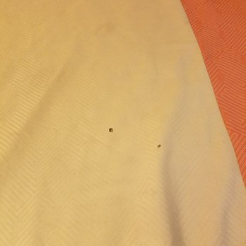Motel 6 - El Monte - Stains on pillows - Hotels Near Me - El Monte, California