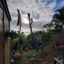 Photo of Big Tree Consulting