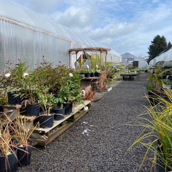 Hillcrest Nursery - Nurseries & Gardening Near Me - Woodburn, Oregon Hillcrest Nursery - Nurseries & Gardening Near Me - Woodburn, Oregon