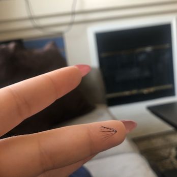 BZB Lashes - The huge chunks that were placed on ONE SINGLE LASH that kept falling out - Eyelash Service Near Me - Hayward, California