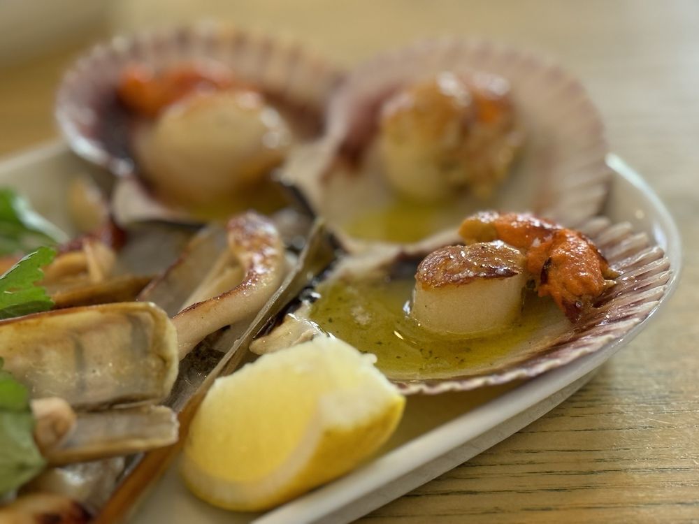 Ostras & Coisas