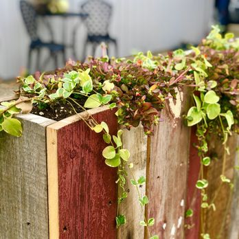 Gathering Grounds Coffee House - a wooden planter with plants growing out of it - Coffee & Tea Near Me - Huron, Ohio Gathering Grounds Coffee House - a wooden planter with plants growing out of it - Coffee & Tea Near Me - Huron, Ohio