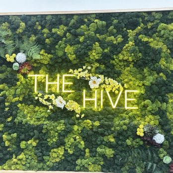 The Hive at BDT - Cannabis Dispensaries Near Me - Hazel Park, Michigan The Hive at BDT - Cannabis Dispensaries Near Me - Hazel Park, Michigan