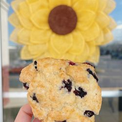 Sun Flour Cafe - Blueberry scone (GF)