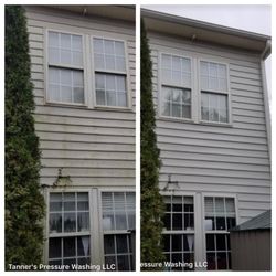 Tanner's Pressure Washing - Before and after,  removal of organic growth by Tanner's Pressure Washing