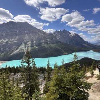 Peyto Lake - Lakes Near Me - Banff, Alberta Peyto Lake - Lakes Near Me - Banff, Alberta