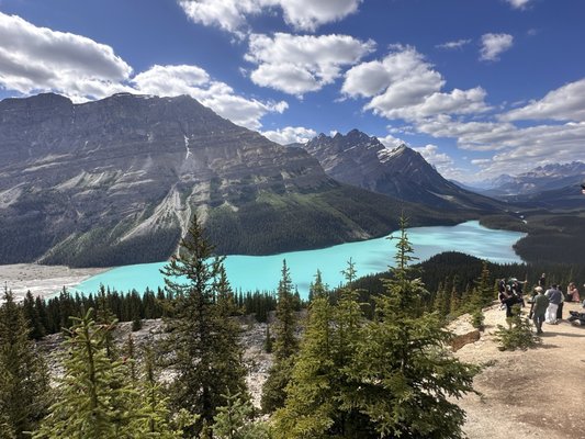 Peyto Lake by null