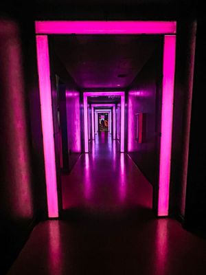 Meow Wolf Denver's Convergence Station by null