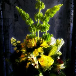 Anything Grows - Very cool flowers.