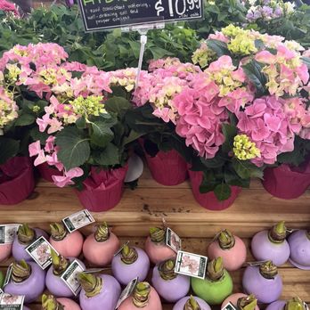 Trader Joe's - Grocery Near Me - Yucaipa, California