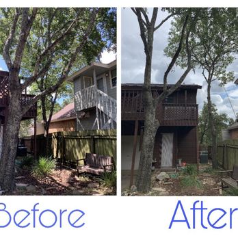 Silver Tree Care - Big branches trimming and roof clearance (even for the neighbor) - Tree Services Near Me Silver Tree Care - Big branches trimming and roof clearance (even for the neighbor) - Tree Services Near Me