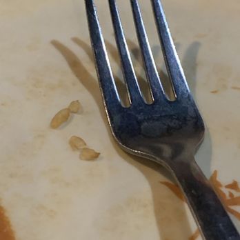 Sato Japanese Restaurant - Pre-ordered rice on my clean plate. - Japanese Near Me - Columbia, South Carolina Sato Japanese Restaurant - Pre-ordered rice on my clean plate. - Japanese Near Me - Columbia, South Carolina