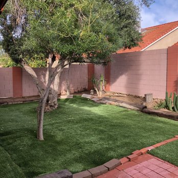 Pristine Green - Backyard. The space by the wall used to be covered in weeds and overgrown. - Tree Services Near Me - Gilbert, Arizona