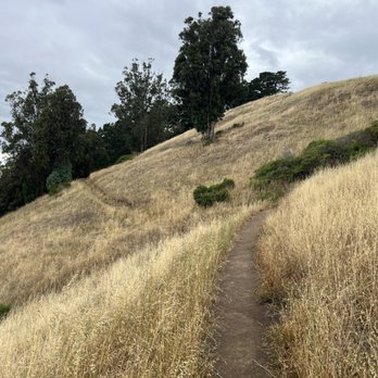 John McLaren Park - This is in May. It will get even more brown by October. - Parks Near Me - San Francisco, California