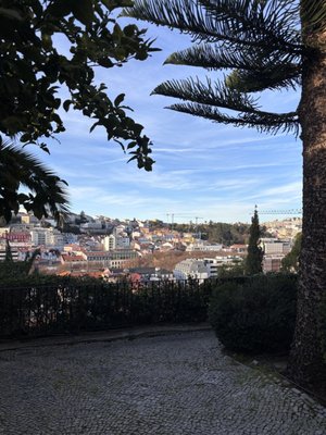 Jardim do Torel by null