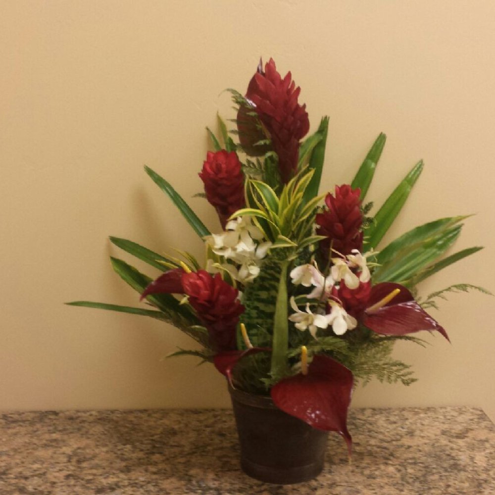 Puna Ohana Flowers - Beautiful arrangement shipped to Arizona. Still gorgeous after the funeral home forgot it in their cooler - flowers are 6 days old here! - Flowers & Gifts Near Me - Phoa, Hawaii Puna Ohana Flowers - Beautiful arrangement shipped to Arizona. Still gorgeous after the funeral home forgot it in their cooler - flowers are 6 days old here! - Flowers & Gifts Near Me - Phoa, Hawaii