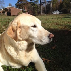 Lovingkindness Veterinary Care