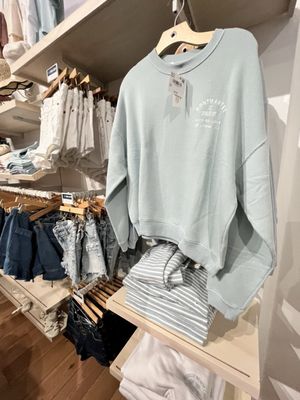 American Eagle by null