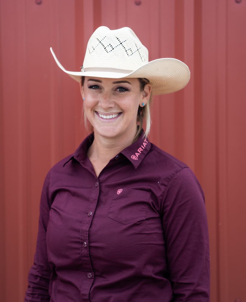 Arizona Desert Horse Training - equestrian in Mesa, AZ