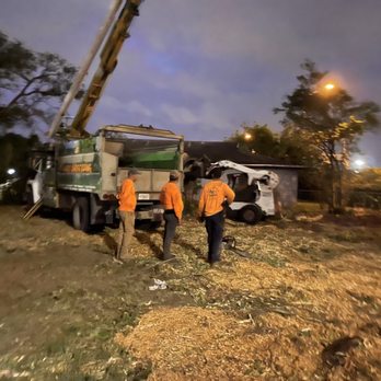 Sunshine Tree Trimming - Working until Sundown in order to complete the large project on a timely basis. - Tree Services Near Me