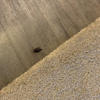 Bexley at Whitestone - Apartments Near Me - Austin, Texas