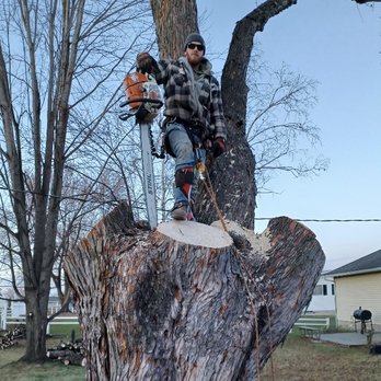 Peterson Tree Service - Tree Services Near Me - Rochester, Minnesota Peterson Tree Service - Tree Services Near Me - Rochester, Minnesota