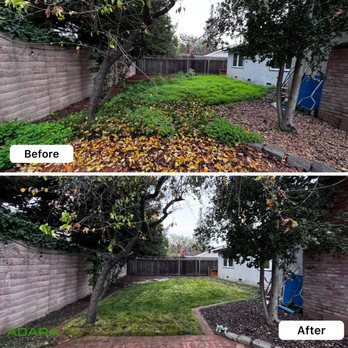 Adara Landscapes - Backyard Clean Up - Landscaping Near Me