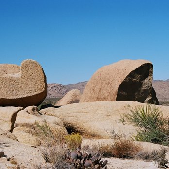 Belle Campground - Small heart (to left) located in back country between Belle Campground and White Tank campground. - Campgrounds Near Me - Twentynine Palms, California Belle Campground - Small heart (to left) located in back country between Belle Campground and White Tank campground. - Campgrounds Near Me - Twentynine Palms, California