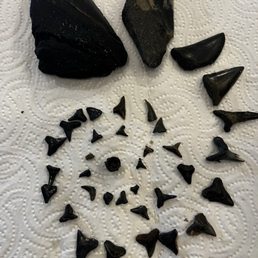 A sampling of what we found. A sampling of what we found.