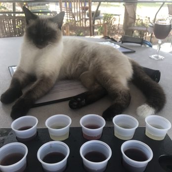 True Blue Winery - Wineries Near Me - Davenport, Florida True Blue Winery - Wineries Near Me - Davenport, Florida