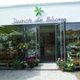 Photo of Durch die Blume