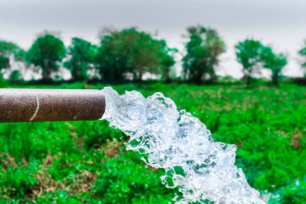 Water System Maintenance and Repairs - As a locally owned and operated company, we take pride in our ability to be there for you when you need us most. The boss, Ray, works diligently to be on every job, no matter the time. If you need an emergency repair, please call us. Our skilled team will ask you a few questions to ensure that we arrive fully equipped to pinpoint the problem and fix it.
Water Well Services:
- Submersible Pumps & Motors
- Booster Pumps
- Storage/Bladder Tanks
- Constant Pressure Drives
- Control Boxes
- Pressure Switches
- Pressure Gauges
- Well Seals
- Drop Pipe
- Well Wire
- Well Inspections
- Water Testing
- Repair Leaking Water Line
- Shocking Wells with Bacteria Issues
Call our local company at 248-634-2892 to schedule a service. Water System Maintenance and Repairs - As a locally owned and operated company, we take pride in our ability to be there for you when you need us most. The boss, Ray, works diligently to be on every job, no matter the time. If you need an emergency repair, please call us. Our skilled team will ask you a few questions to ensure that we arrive fully equipped to pinpoint the problem and fix it.
Water Well Services:
- Submersible Pumps & Motors
- Booster Pumps
- Storage/Bladder Tanks
- Constant Pressure Drives
- Control Boxes
- Pressure Switches
- Pressure Gauges
- Well Seals
- Drop Pipe
- Well Wire
- Well Inspections
- Water Testing
- Repair Leaking Water Line
- Shocking Wells with Bacteria Issues
Call our local company at 248-634-2892 to schedule a service.
